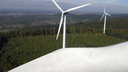 Champ éolien en Allemagne. (AFP)