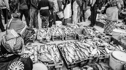 proposent toutes sortes de poissons en fonction des saisons: thons, sabres, mérous (rouge, blanc, jaune), poulpes, bars, mulets, lottes, machoirons, raies, espadons, barracudas…  (Nathalie Guironnet)