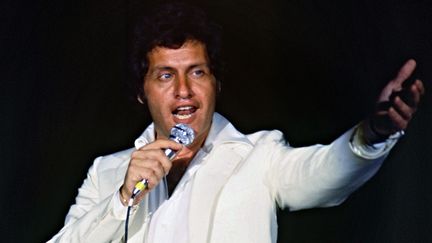 Le chanteur franco-américain Joe Dassin en 1979. (STF / AFP)