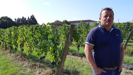 Marc Médeville, président de l'appellation Château Fayau à Cadillac (Gironde) (GUILLAUME  GAVEN / FRANCEINFO / RADIO FRANCE)