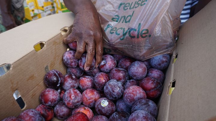 Une bénévole prépare des prunes à distribuer aux familles précaires. (MARIE-VIOLETTE BERNARD / FRANCEINFO)