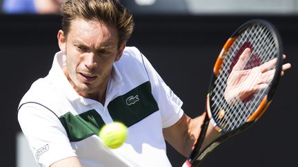 Nicolas Mahut lors du tournoi de Rosmalen. (KOEN SUYK / ANP)