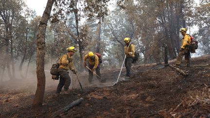 Des pompiers luttent contre les feux à Jerseydale, en Californie (Etats-Unis), où sévit l'incendie "Oak Fire", le 25 juillet 2022. (JUSTIN SULLIVAN / GETTY IMAGES NORTH AMERICA / AFP)