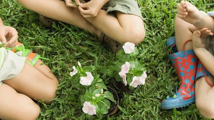 Des enfants jouent ensemble dans l'herbe. Photo d'illustration. (MICHÈLE CONSTANTINI / MAXPPP)