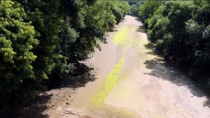 Le mois de juillet 2022 est celui de tous les records au niveau de la forte sécheresse qui frappe la France.&nbsp;93 départements subissent de plein fouet l’assèchement des sols et le manque d’eau. (FRANCE 2)