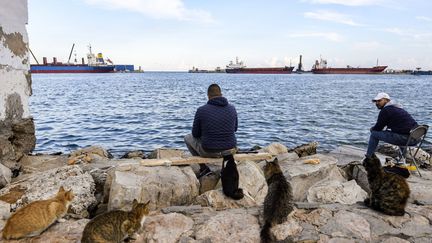 Port de Sousse, où les douaniers tunisiens ont saisi 70 conteneurs de déchets au début de l’été, rapidement suivis de 212 autres conteneurs,&nbsp;le 26 novembre 2020.&nbsp; (FETHI BELAID / AFP)