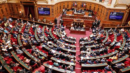 L'hémicycle du Sénat, à Paris, le 9 août 2023. (LAURE BOYER / HANS LUCAS / AFP)