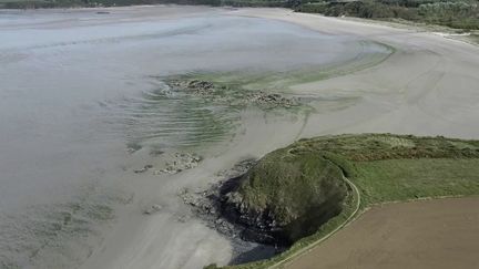 Écologie : le fléau des algues vertes