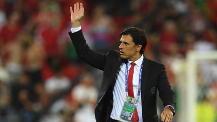 Le sélectionneur du Pays de Galles Chris Coleman (PAUL ELLIS / AFP)