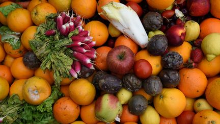 Agriculture : produire sans terre