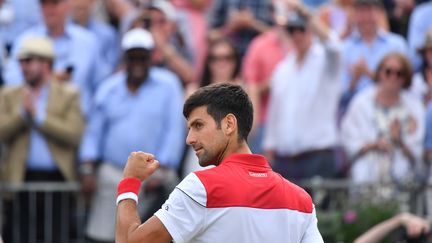 Première finale depuis un an pour Novak Djokovic (BEN STANSALL / AFP)