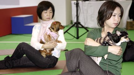 S&eacute;ance de "doga", du yoga avec son chien, &agrave; Tokyo, le 13 janvier 2008. (AFP)