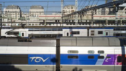  (Train en gare de Montparnasse © Baleydier/Sipa)