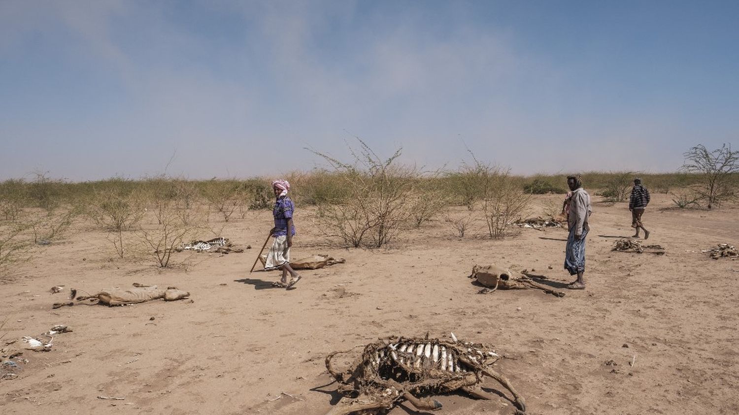 A scientific study suggests that the historic droughts hitting Africa’s Greater Horn are due to global warming.