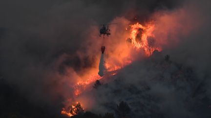 Un hélicoptère lutte contre les flammes à Vitrolles (Bouches-du-Rhône), le 10 août 2016. (BORIS HORVAT / AFP)