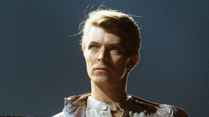 David Bowie en concert le 14 mai 1978&nbsp;au Festhalle Frankfurt festival (HANS H. KIRMER / DPA)