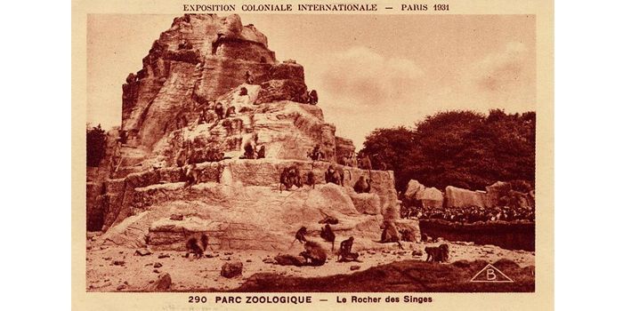 Le Zoo à l&#039;Exposition Coloniale de Paris en 1931. Le rocher des singes.
 (Editions BRAUN)