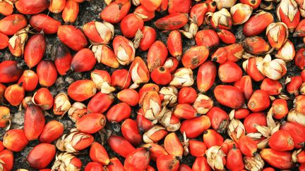 Il n’existe à ce jour aucun label assurant aux consommateurs que l’huile de palme utilisée ne met pas la forêt en danger. (lcoccia / GETTY IMAGES)