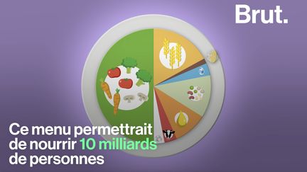 Ce menu permettrait de nourrir 10 milliards de personnes tout en protégeant leur santé et la planète.