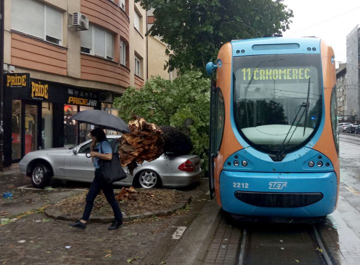 A tree fell on a car on July 21, 2023, in Zagreb (Croatia).  (STIPE MAJIC / ANADOLU AGENCY / AFP)