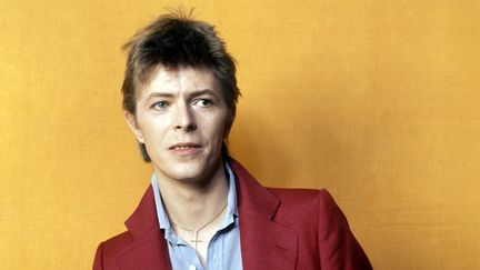 David Bowie en 1974 à la télévision néerlandaise, à Hilversum
 (Peter Mazel / SunshineE / MaxPPP / M)