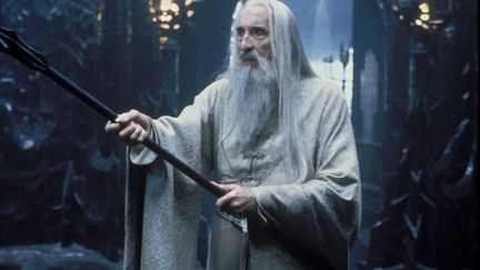 Le Seigneur des anneaux, la communauté de l'anneau Lord of the Rings: 2001 (ARCHIVES DU 7EME ART)