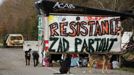 Notre-dame-des-Landes : qui sont les zadistes ?