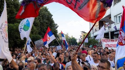 Des milliers de manifestants se rassemblent pour protester contre l'ouverture d'un projet controversé d'extraction de lithium à Loznica, (Serbie), le 28 juin 2024. (VLADIMIR ZIVOJINOVIC / AFP)