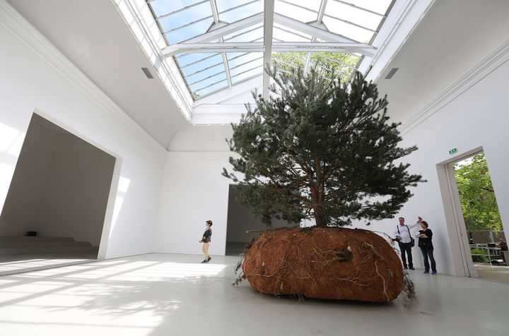 "Révolutions", l'oeuvre de Céleste Boursier-Mougenot au Pavillon français de la Biennale de Venise.
 (Alex Maguire/REX Shutte/SIPA)