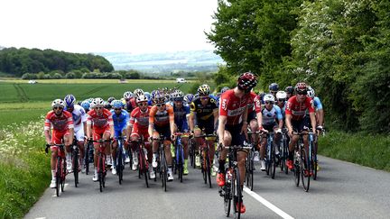 Le peloton des Quatre jours de Dunkerque (MAX ROSEREAU / MAXPPP)