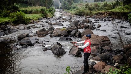 Le Kenya est devenu au fil des décennies, une destination prisée des touristes. Si les poissons n'attirent pas encore autant que les grands félins des savanes, des passionnés viennent des quatre coins du monde pour aussi pratiquer la pêche dans les rivières et les lacs de montagne de la région de Mathioya.&nbsp; &nbsp; &nbsp; &nbsp; &nbsp;&nbsp; (LUIS TATO / AFP)