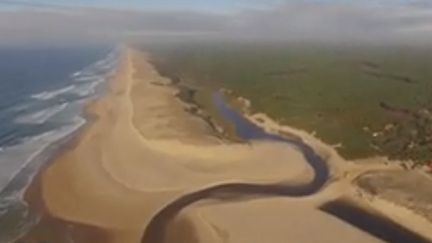 Faut-il sacrifier nos forêts au nom de la transition énergétique&nbsp;? Des milliers d’arbres pourraient ainsi abattus dans les Landes pour y implanter un parc géant de panneaux solaires. (France 2)