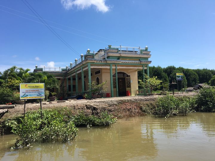 Un élevage de crevettes sauvages dans la mangrove du delta du Mékong, soutenu par le groupe Minh Phu, numéro un de la crevette au Vietnam. (DOMINIQUE ANDRÉ / RADIO FRANCE)