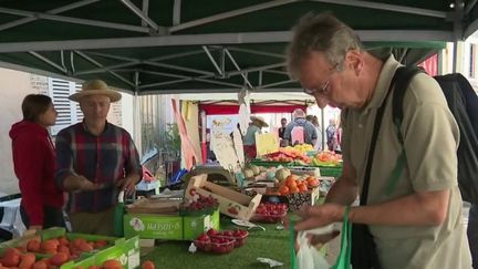 Les fruits devraient être bien moins chers cet été que l'an dernier