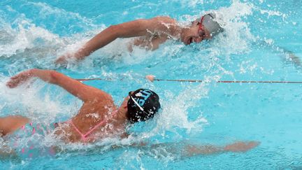 Des nageurs s'entraînent à la piscine olympique de Sidney, en Australie, le 23 février 2016. (WILLIAM WEST / AFP)