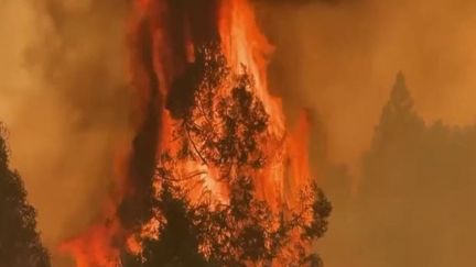 Aux&nbsp;États-Unis, un gigantesque feu a déjà ravagé plus de 5 000 hectares de forêt en Californie.&nbsp;Il continuait à s'étendre, dimanche 24 juillet, près du parc national de Yosemite.&nbsp;Des milliers de personnes ont dû être évacuées.&nbsp;La journaliste Diane&nbsp;Schlienger, de France Télévisions&nbsp;États-Unis, fait le point sur la situation. (FRANCE 2)