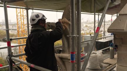 Jeunes artisans : ils ont été formés sur le chantier de Notre-Dame