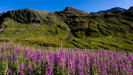 Le parc national de la Vanoise,&nbsp;dans les Alpes françaises (photo d'illustration). (VINCENT ISORE / MAXPPP)