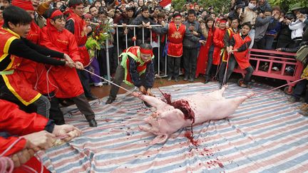 D&eacute;coupage d'un cochon au sabre lors d'une c&eacute;r&eacute;monie traditionnelle &agrave; Nem Thuong pr&egrave;s d'Hano&iuml; (Vietnam), le 28 janvier 2012. (KHAM / REUTERS)