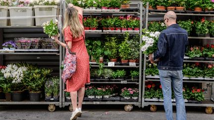 Lyon : la société protectrice des végétaux donne une seconde vie aux plantes