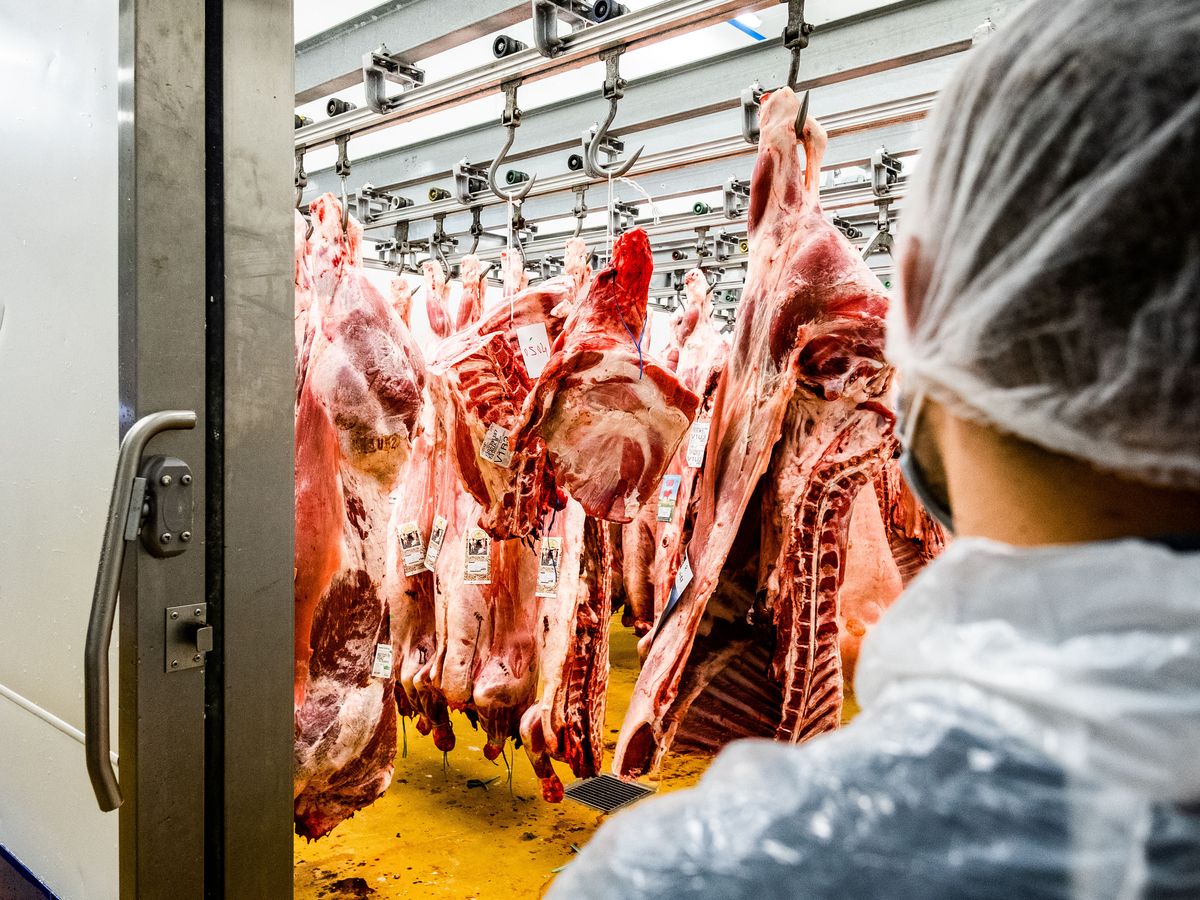 Plus de la moitié des Français ont diminué leur consommation de viande ces  dernières années, selon une étude