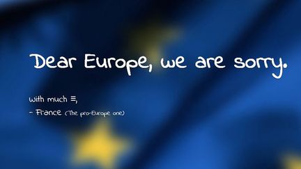 Capture d'&eacute;cran du site "Dear Europe, we are sorry", cr&eacute;&eacute; apr&egrave;s les &eacute;lections europ&eacute;ennes du 25 mai 2014. (DR)