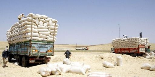 Des paysans chargent des camions de paille, près de Diyarbakir, ville du sud-est de la Turquie, le 30 Juin 2005. La majeure partie de la population de cette région vivent de l'agriculture. (AFP PHOTO/MUSTAFA OZER)