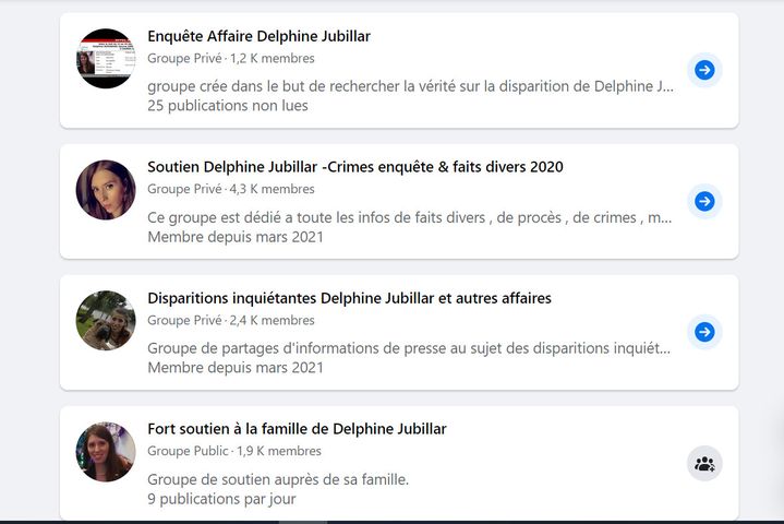 Capture d'écran de certains groupes Facebook créés autour de la disparition de Delphine Jubillar. (FACEBOOK)