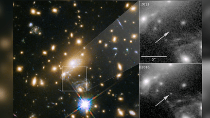 Une équipe de scientifiques a&nbsp;détecté l'étoile la plus lointaine jamais observée, une supergéante bleue, située à 9,3 milliards d'années-lumière de la Terre.  (P. KELLY / ESA / NASA)