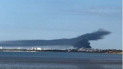 Vue de l'incendie d'un silo à grains de la SICA Atlantique, le 10 août 2023 à La Rochelle. (CAPTURE D'ECRAN)