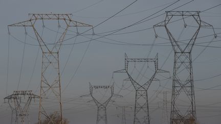 Des lignes&nbsp;à haute tension près de&nbsp;Fessenheim (Haut-Rhin), le 6 décembre 2019. (SEBASTIEN BOZON / AFP)