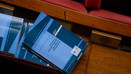 &nbsp; (Après plus de 400 heures de débat, Manuel Valls a décidé de faire appel à l'article 49.3 de la Constitution pour faire adopter le projet de loi Macron © MaxPPP)