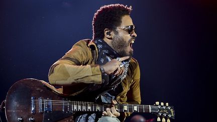 Lenny Kravitz en concert aux Pays-Bas-26 juin 2015
 (PAUL BERGEN / ANP / AFP)