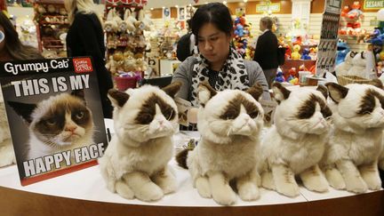 La peluche "Grumpy Cat" est pr&eacute;sent&eacute;e au salon du Jouet &agrave; New York (Etats-Unis), le 16 f&eacute;vrier 2014. (FRANK FRANKLIN II / AP / SIPA)